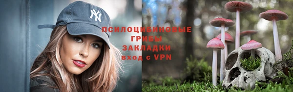 сатива Алексеевка