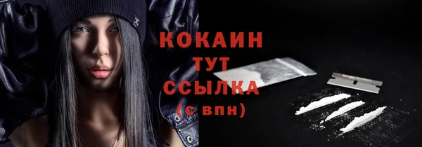 соль ск Алексин