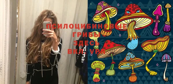 сатива Алексеевка