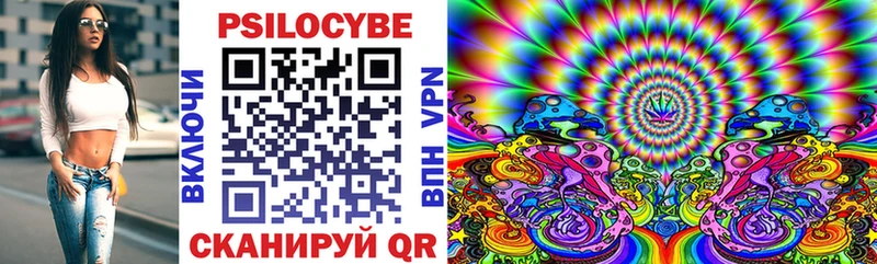 продажа наркотиков Игарка Псилоцибиновые грибы Cubensis
